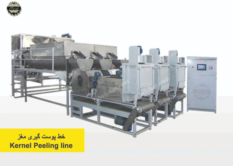 خط پوست گیری مغز